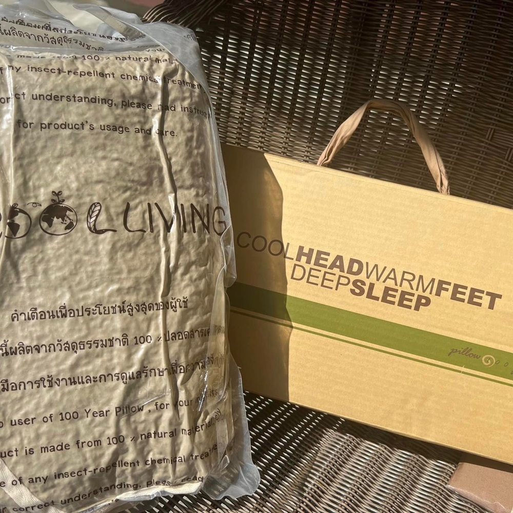 Organic buckwheat pillow